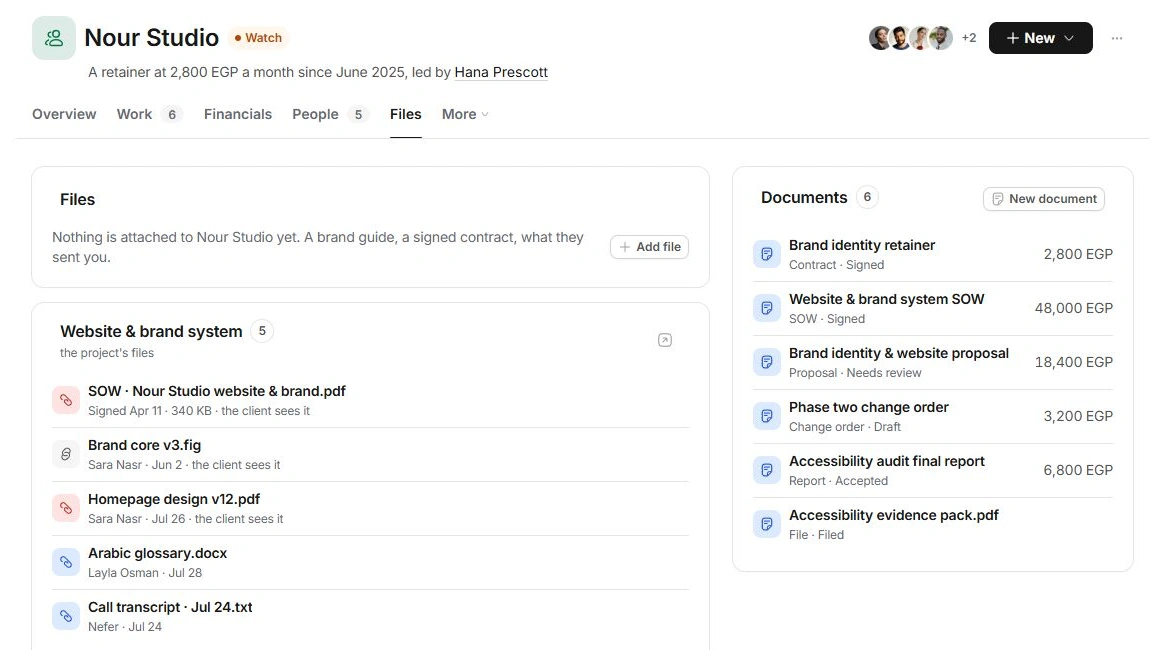 Client Files page with account attachments, project files and linked documents