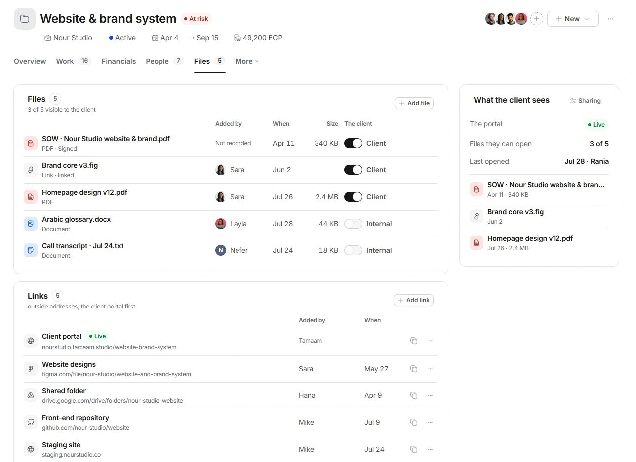 Project Files with client-visible switches, outside links and portal file summary
